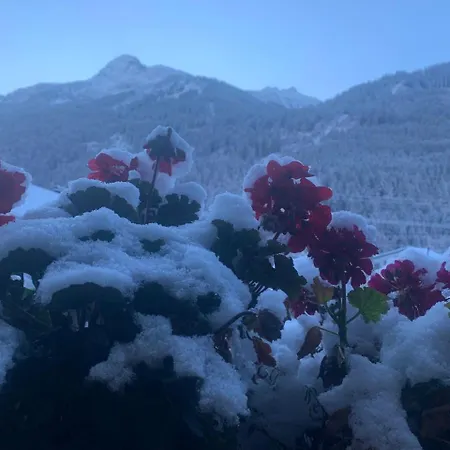 Апартаменты Lori *