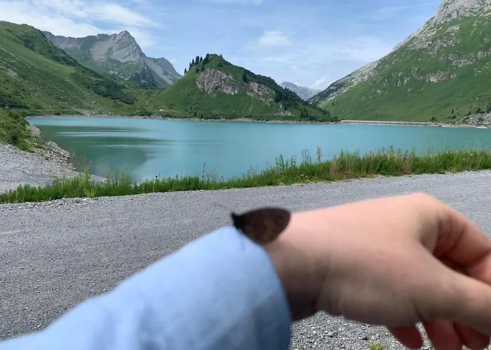 Lori * ヴァルト・アム・アールベルク